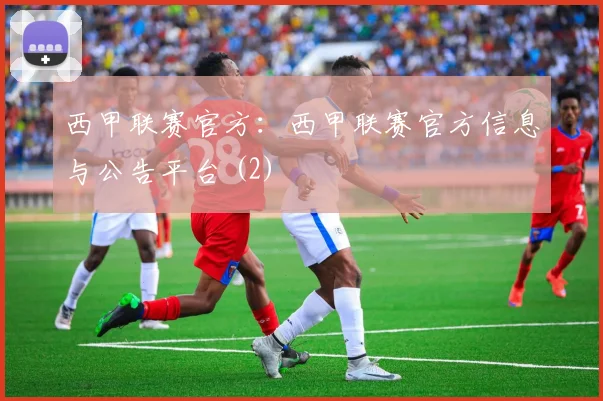 西甲联赛官方：西甲联赛官方信息与公告平台 (2)
