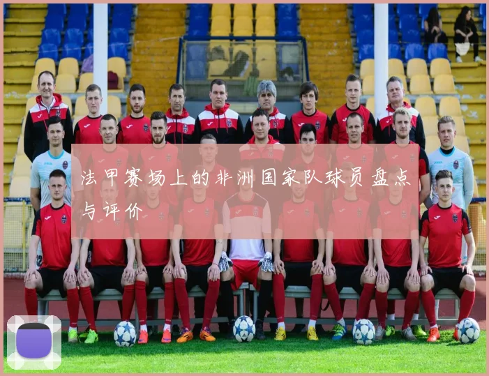 法甲赛场上的非洲国家队球员盘点与评价