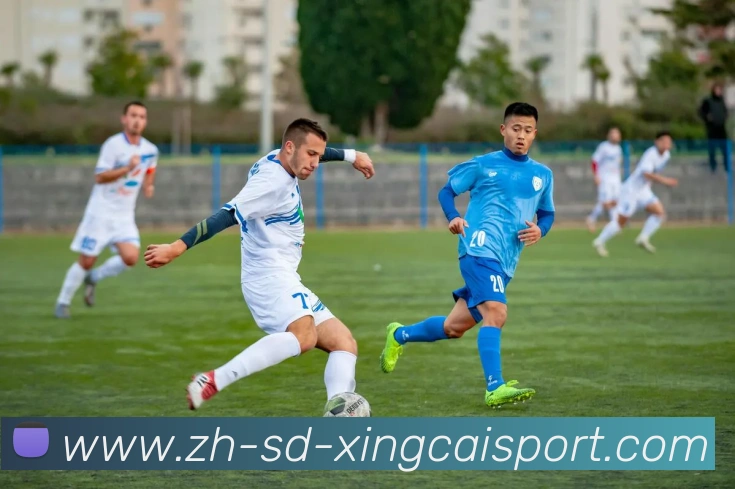 杏彩体育平台生态图