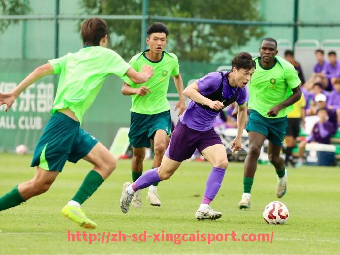 杏彩体育-法甲里昂本赛季比赛录像分析与战术回顾