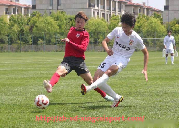 杏彩体育-西甲直播体育直播平台多元化趋势下的观赛方式革新